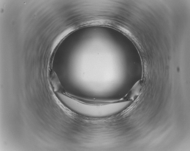 X0000070411426200607072258