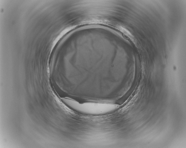 X0000070411428200607072258