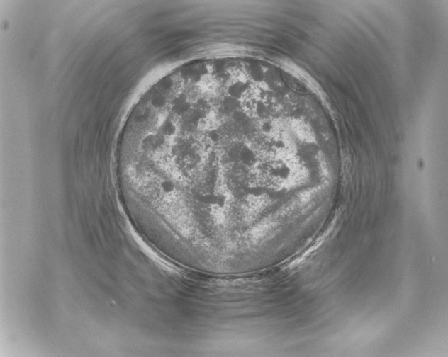 X0000070411429200607072258