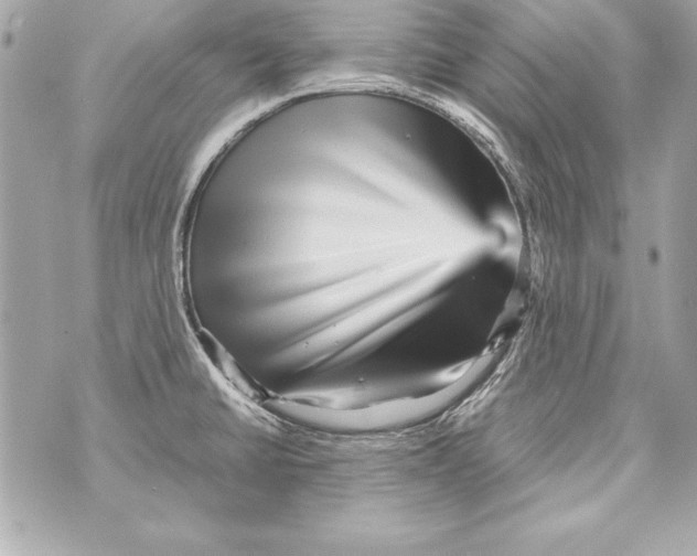 X0000070411430200607072258