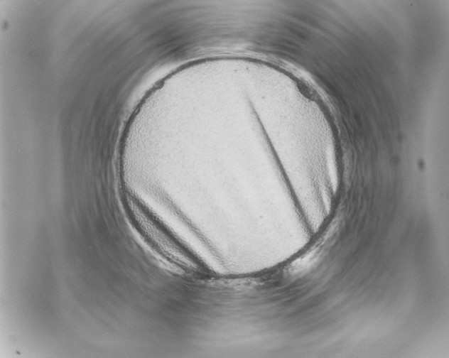 X0000070411432200607072258