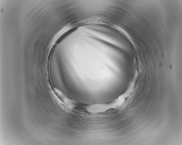 X0000070411434200607072258