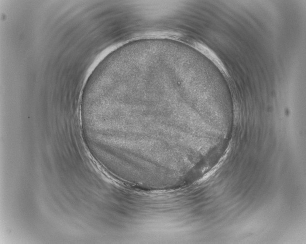 X0000070411436200607072258