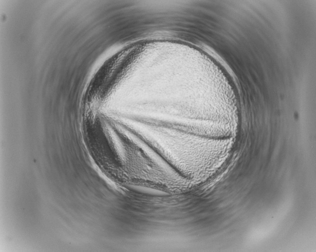 X0000070411437200607072258