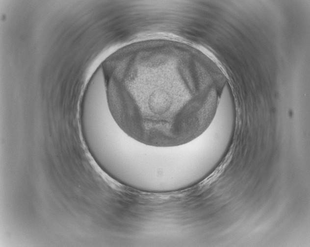 X0000070411438200607072258