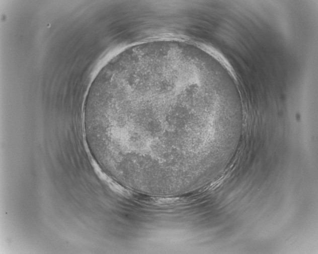 X0000070411439200607072258