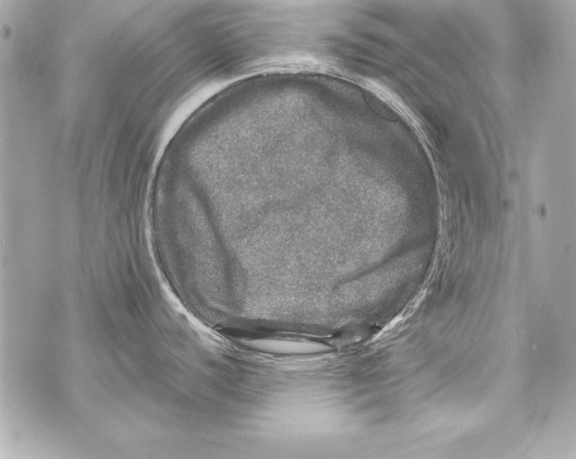 X0000070411440200607072258