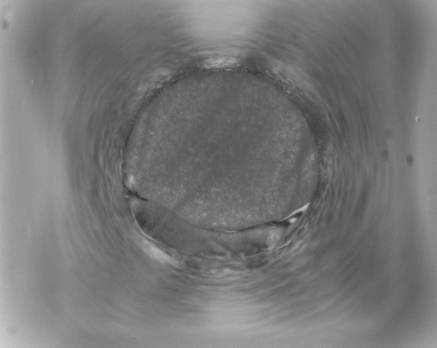 X0000070411441200607072257