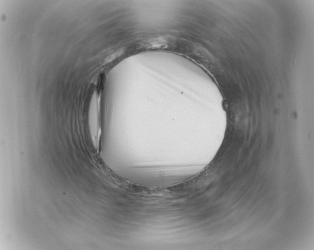 X0000070411442200607072257