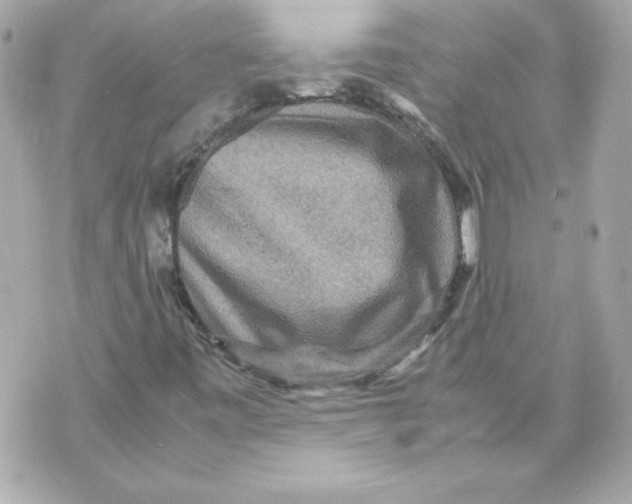 X0000070411443200607072257