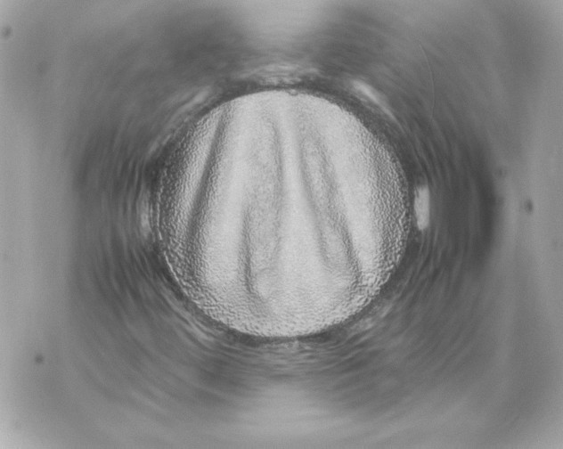 X0000070411444200607072257