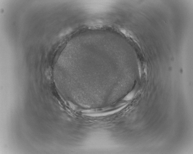 X0000070411445200607072257