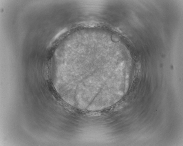 X0000070411446200607072257