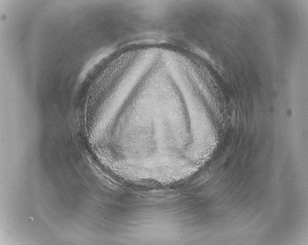 X0000070411448200607072257