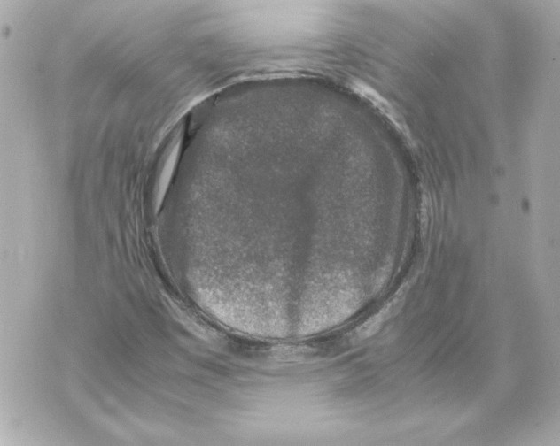 X0000070411449200607072257