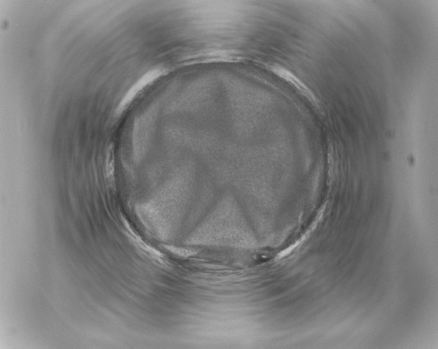 X0000070411450200607072257