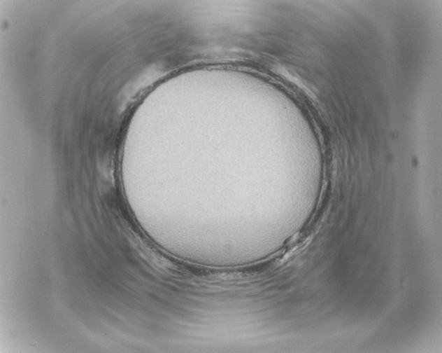 X0000070411451200607072257