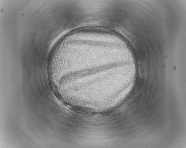 X0000070411452200607072257