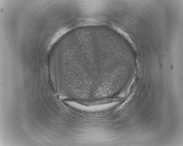 X0000070411453200607072257