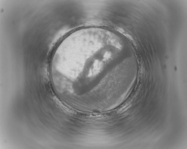 X0000070411454200607072257