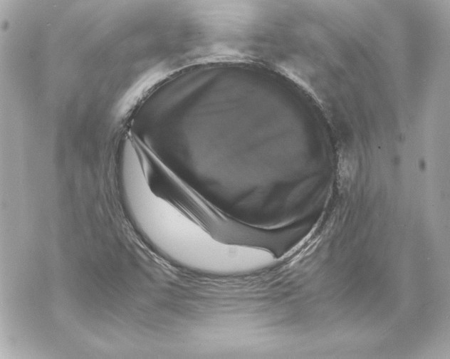 X0000070411455200607072257