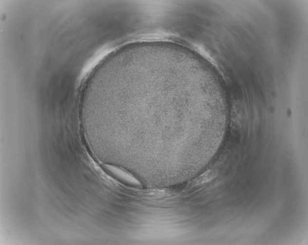 X0000070411456200607072257