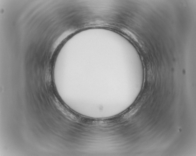 X0000070411458200607072257