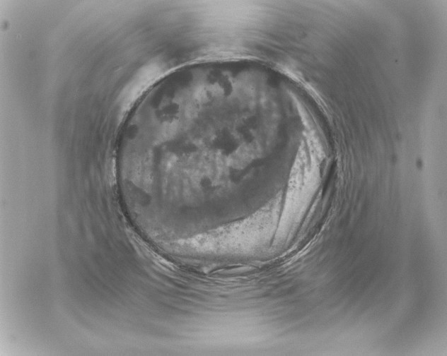 X0000070411459200607072257