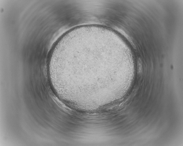 X0000070411460200607072257