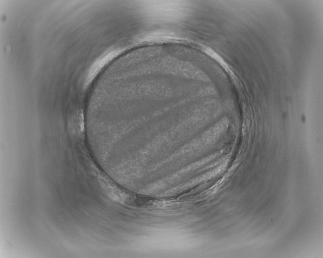 X0000070411461200607072257