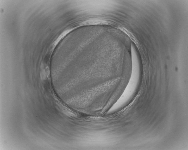 X0000070411465200607072257