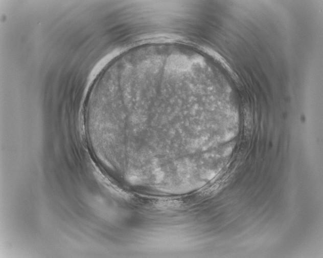 X0000070411466200607072257