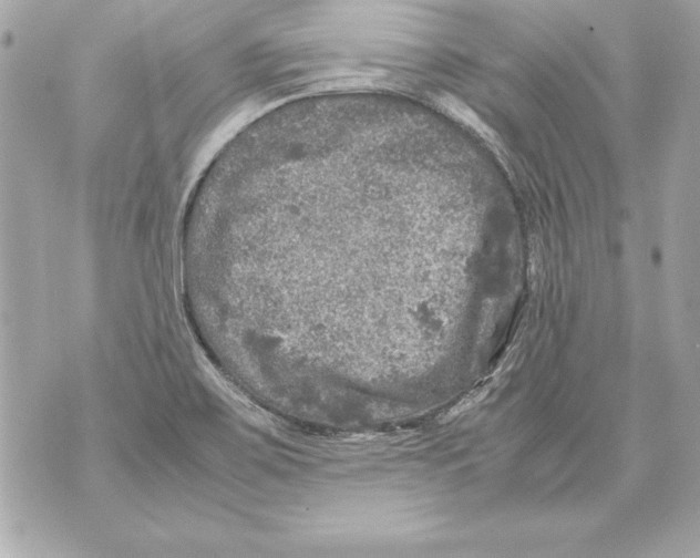 X0000070411467200607072257