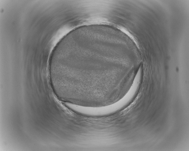 X0000070411469200607072257