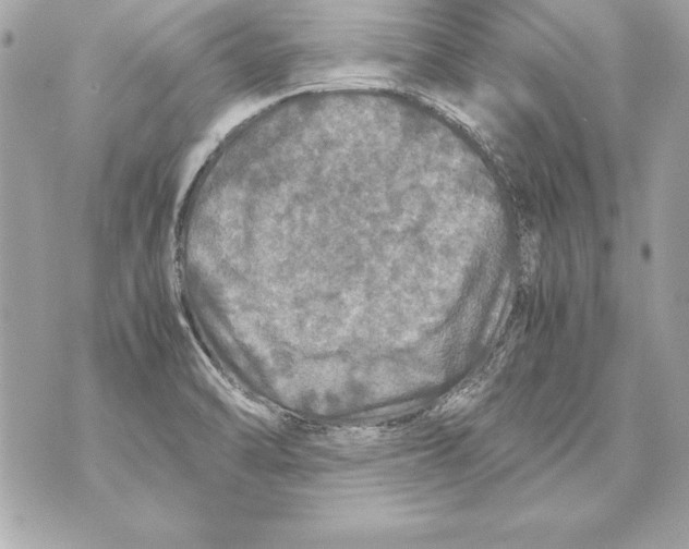 X0000070411470200607072257