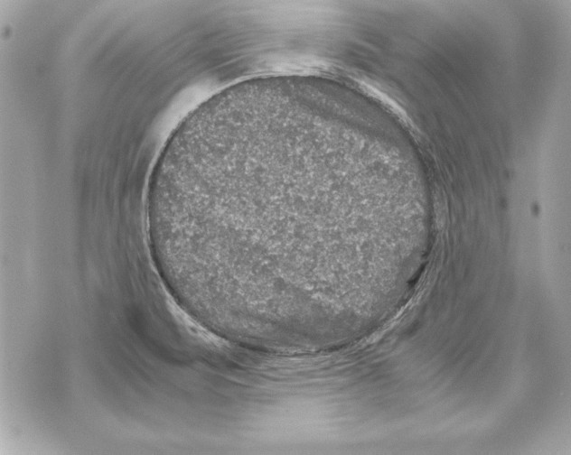 X0000070411471200607072257