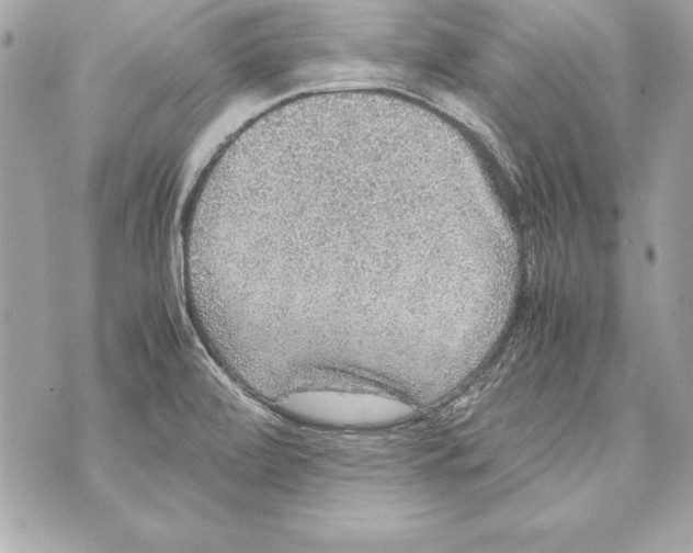 X0000070411472200607072257