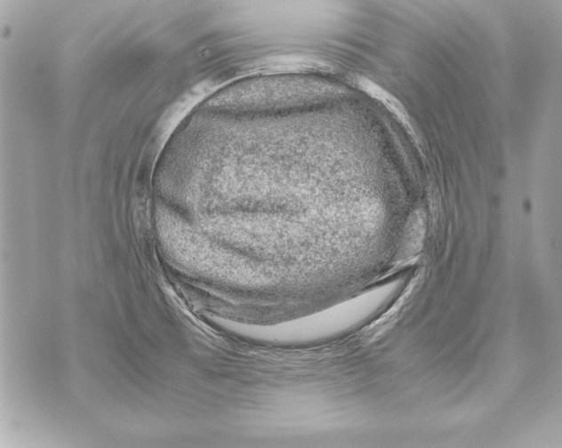 X0000070411473200607072257