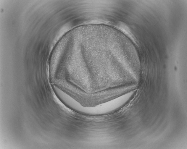 X0000070411476200607072257