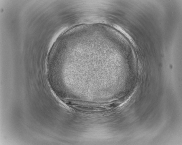 X0000070411477200607072257