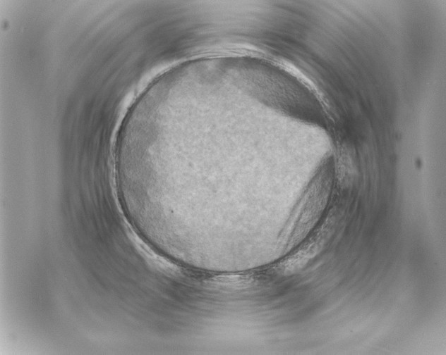 X0000070411478200607072257