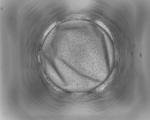 X0000070411481200607072257