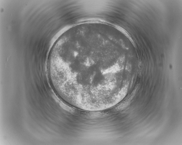 X0000070411482200607072257