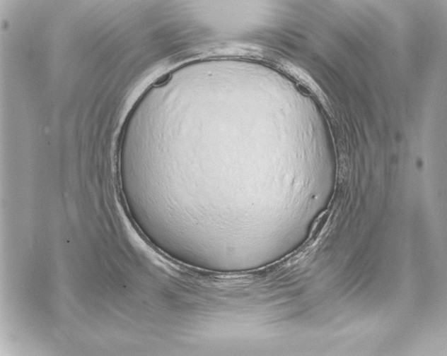 X0000070411483200607072256