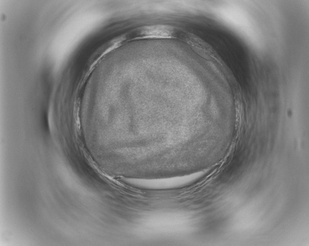 X0000070411487200607072256