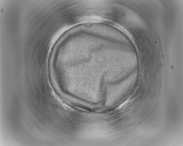 X0000070411488200607072256