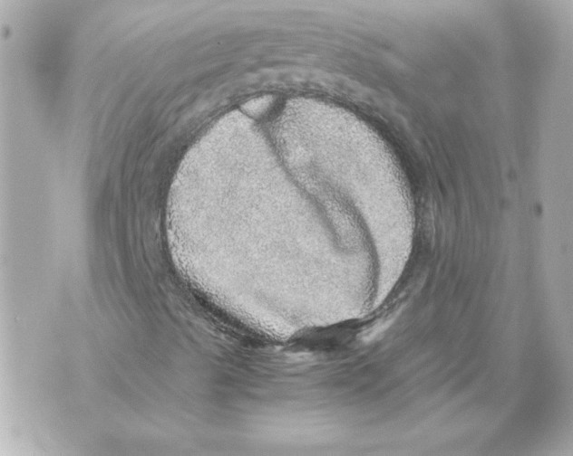 X0000070411489200607072256