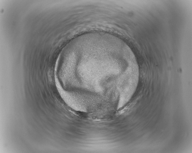 X0000070411490200607072256