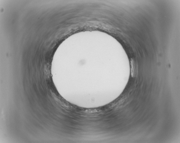 X0000070411491200607072256