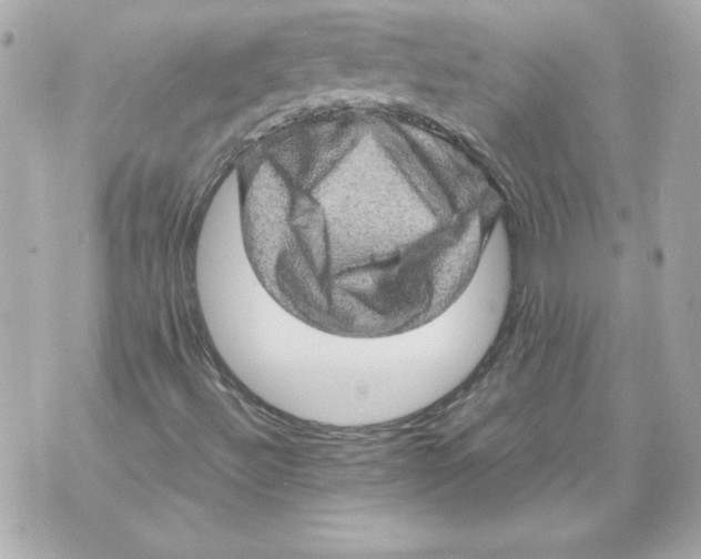 X0000070411492200607072256